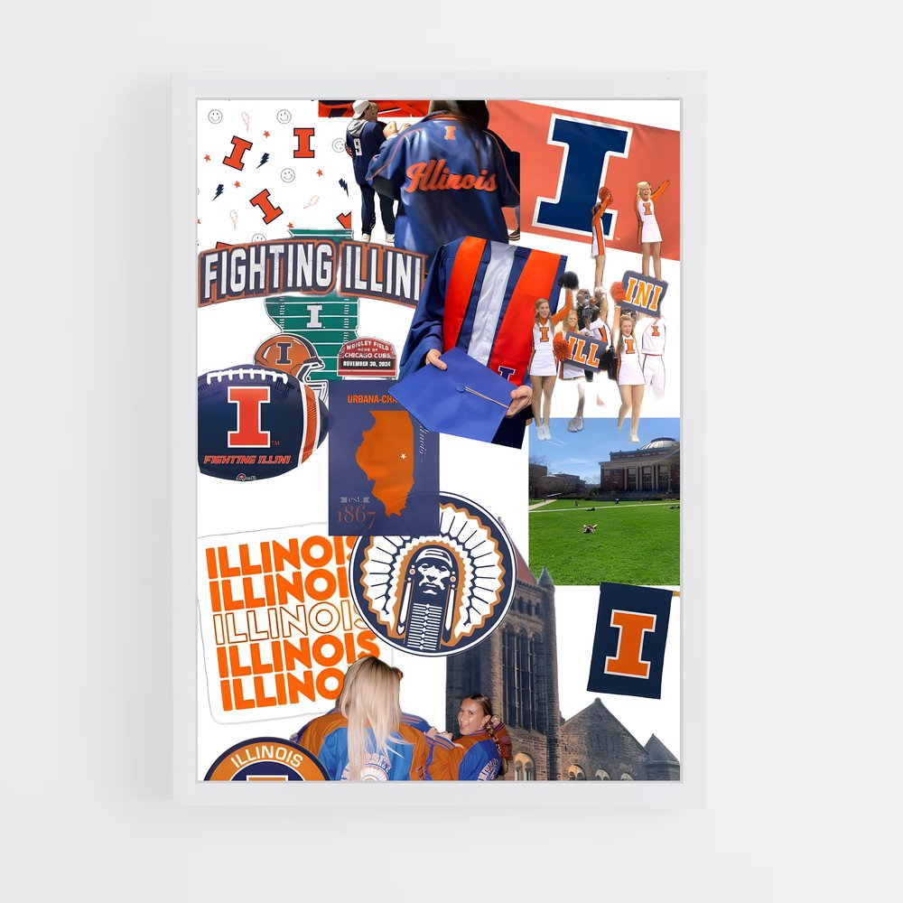 Poster Fighting Spirit Illinois – affiche Basketball (vue 3)